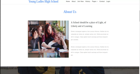 School Website